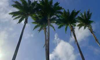 Imagem 5: Imóvel para venda tem 2720 metros quadrados em Sapiranga-Coité - Fortaleza - CE