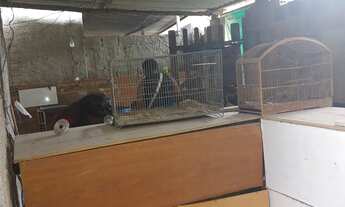 Imagem 7: Vende-se casa no arsenal