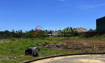 Imagem 3: Terreno no Paradis