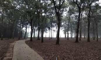 Imagem: Casa térrea no Condomínio Quinta do Bosque