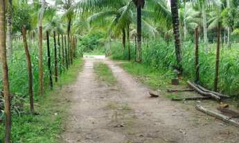 Imagem 2: Alugo 2 casa no conde Linha verde (Em sítio