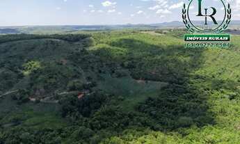 Imagem 3: Oportunidade Chácara 14 Alqueires Próximo de Palmas