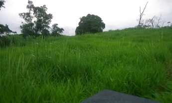 Imagem: Venda-se está propriedade de 45 Alqueires