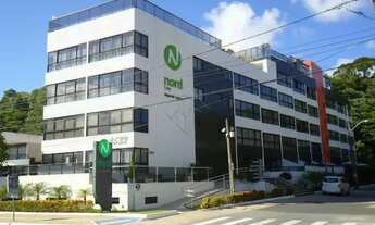 Imagem 2: IMPERIAL SIUTÍS