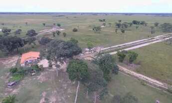 Imagem 6: FAZENDA À VENDA PANTANAL MATO-GROSSENSE