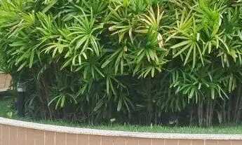 Imagem 5: Espaço, Conforto numa Localização Valorizada