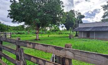 Imagem 5: Sítio 12 hectares na região da cidade de Rosário Oeste MT