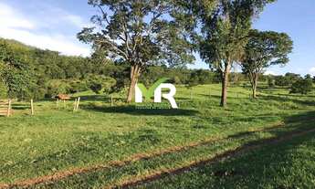 Imagem 6: Fazenda 64 alqueires em Marzagão