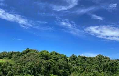 Imagem 7: Pré-Lançamento de Terrenos em Ibiúna com Condições Especiais