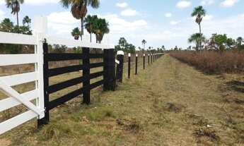Imagem 6: Fazenda de 1000 hectares na serra da lua, ler descrição do anuncio