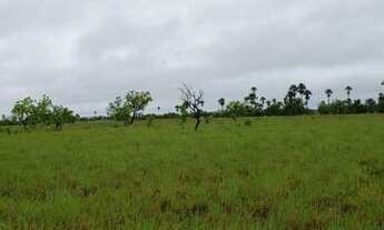 Imagem 4: Fazenda de 1000 hectares na serra da lua, ler descrição do anuncio
