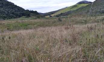 Imagem: Sitio no pacau 13 hectare 165.000,00