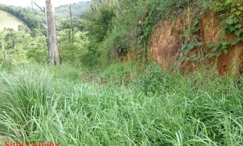 Imagem 2: Sítio da Lajinha 16 Hectares - Sítio Carvalhos 25.000 m²