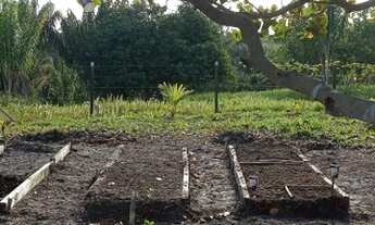 Imagem 3: Sítio para venda com 4,6 hectares em Canavieiras-BA