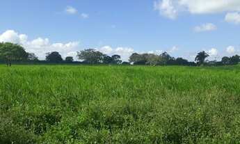 Imagem: Fazenda com 96 hectares na região vera
