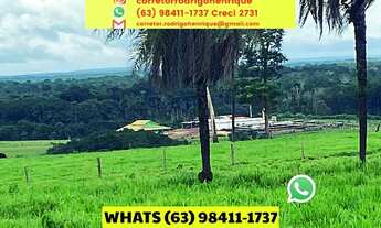 Imagem: Fazenda pecuária Abreulandia Tocantins