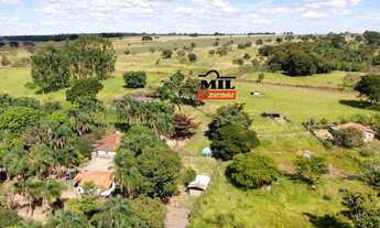 Imagem: Chácara 7.74 alqueires ( 37.5 hectares