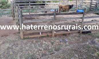 Imagem 5: Sítio 11 Hectares Liberdade - Sítio Bom Jardim 23 Hectares