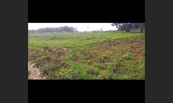 Imagem 3: Vende-se Chácara com venda com preço sob consulta