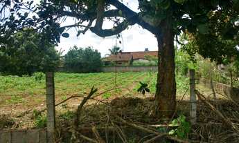 Imagem: 03 ótimos lotes em Aldeia, plano, perto