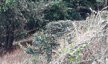 Imagem 4: Lote/Terreno para venda com 1573 metros quadrados em Itacorubi - Florianópolis - SC