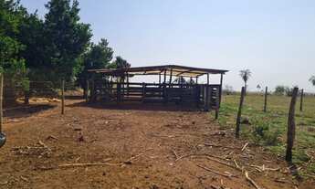 Imagem 5: Chácara 7 ha, 21 km da cidade Terenos MS