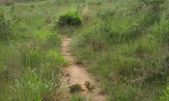 Imagem 3: Sítio 10,3 Hectares Arantina -Sítio 8,3 Hectares Arantina