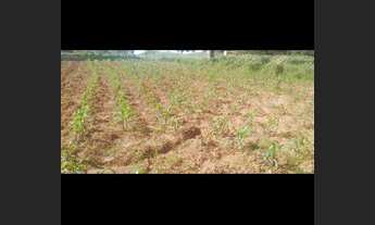 Imagem 2: Vende-se Chácara com venda com preço sob consulta