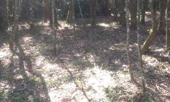 Imagem: Excelente chacara Com 6.000 m2 Malhada 230.000.00