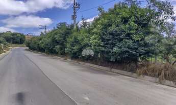 Imagem 2: Chácara Residencial para Venda no Morro Grande em Colombo, 12184.25m²