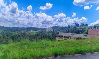 Imagem 3: Lote/Terreno para venda com 298 metros quadrados em Arruda - Colombo - PR