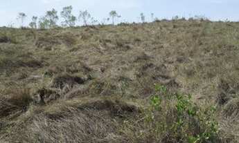 Imagem 3: Sítio 40 Hectares - Sítio 20 hectares Bocaina de Minas