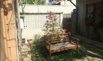 Imagem 3: Rua Tranquila e Arborizada