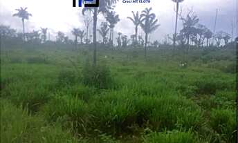 Imagem 3: FAZENDA/PECUARIA/CRUZEIRO DO SUL/ACRE/DOCUMENTADA