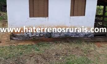 Imagem 7: Sítio 11 Hectares Liberdade - Sítio Bom Jardim 23 Hectares