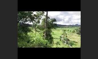 Imagem 2: Fazenda no Município de Campos Lindo TO