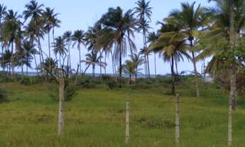Imagem: Terreno para venda possui 20.000 metros