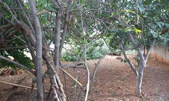 Imagem 6: Lote 539 metros a venda no Jardim Luz