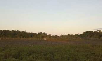 Imagem: Sítio para venda com 4,6 hectares em Canavieiras-BA