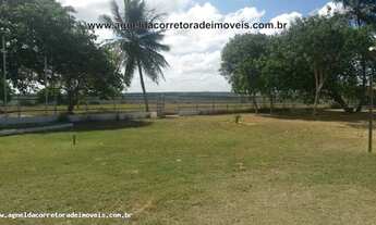 Imagem 4: Fazenda em Monte Alegre 86hectares