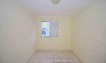 Imagem 3: São Paulo - Apartamento Padrão - Tremembé