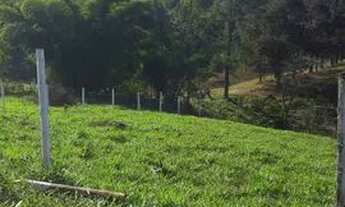 Imagem 2: LL-VENDO TERRENO DE 1000M² PRONTO PARA CONSTRUIR