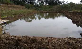 Imagem: Chácaras em Mateus Leme, MG