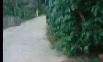 Imagem 5: Terreno em Lauro de Freitas 98 MTS quadrado para morada ou comércio