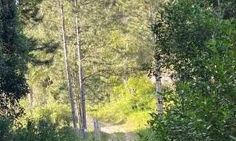 Imagem 6: Terreno com lago em Juquitiba aceito carro