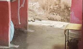 Imagem 3: Barracão 4 cômodos, varandas quintal 20m²