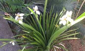 Imagem 2: PARQUE DAS NAÇÕES alugo Sobrado