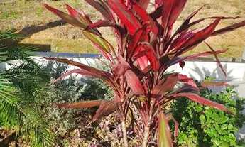 Imagem 6: Casa Térrea em Indaiatuba, Condomínio Mantova com 3 quartos - 150 m²