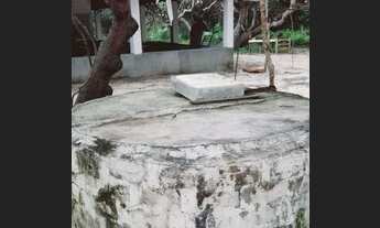 Imagem 3: Quer tranquilidade compra meu Sítio mangueira coqueiro entre outras plantas frutíferas