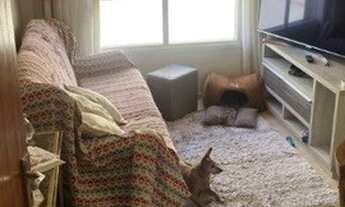 Imagem 4: CAXIAS DO SUL - Apartamento Padrão - BELA VISTA